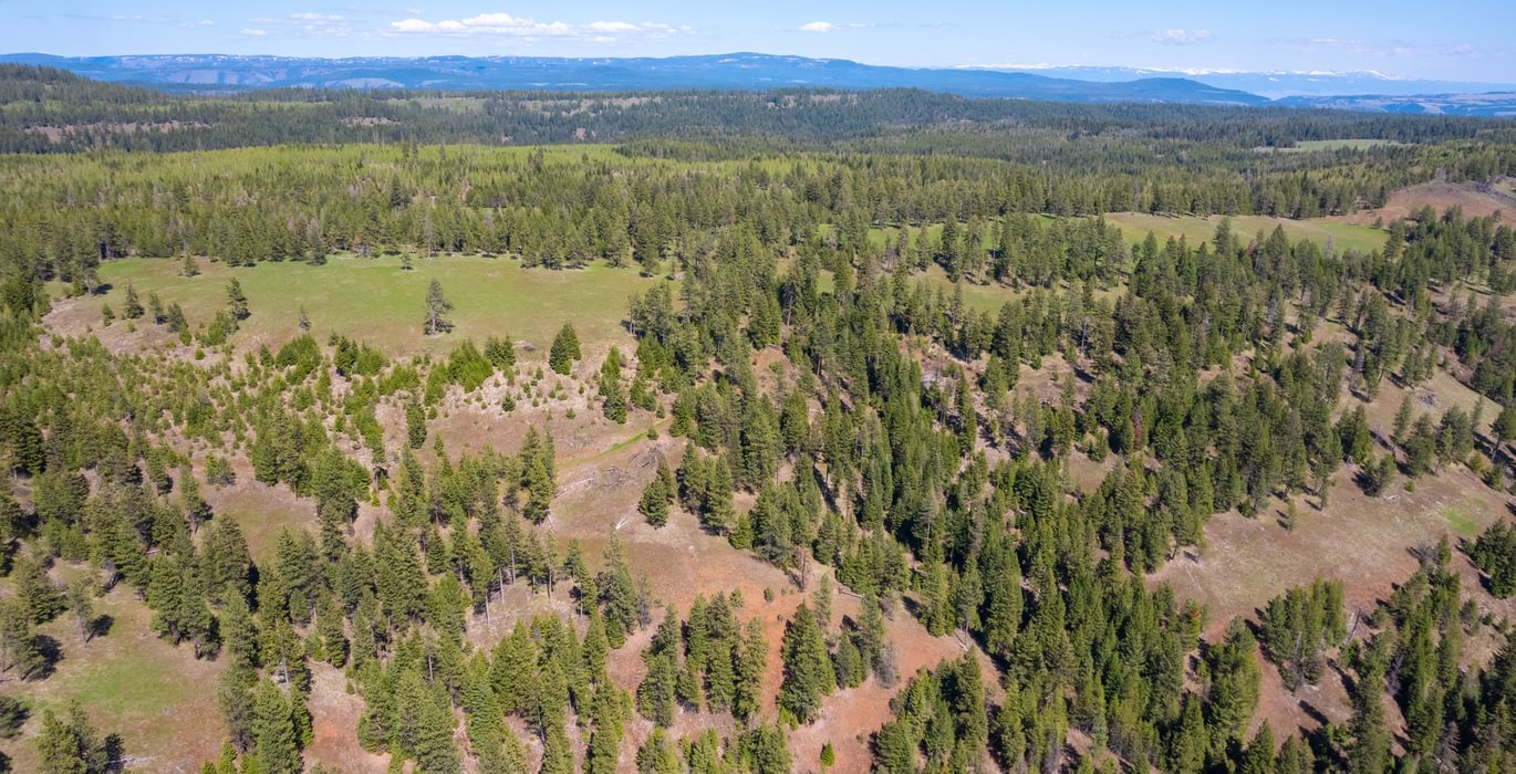 Wallowa West 20