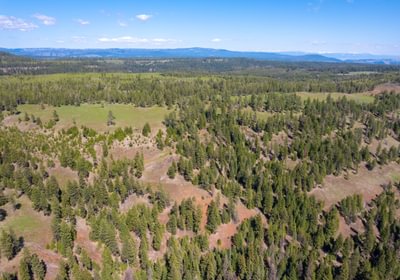 Wallowa West 20
