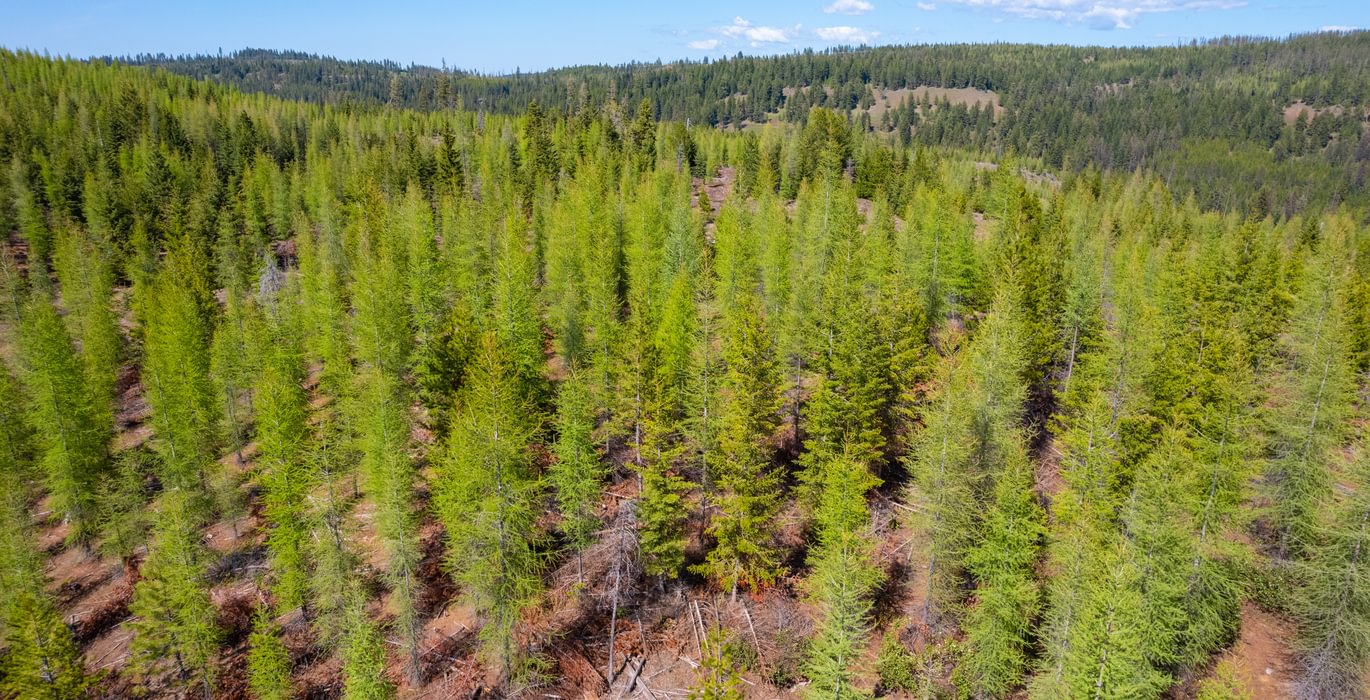Wallowa West 23