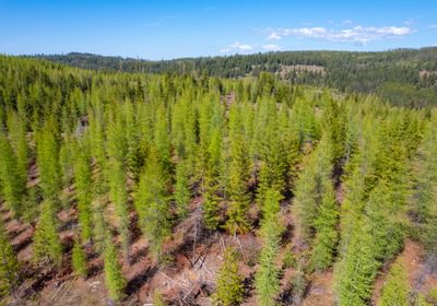 Wallowa West 23