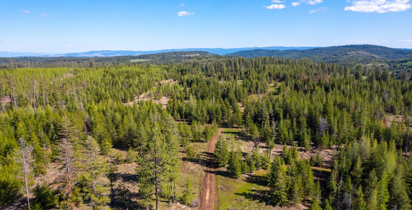 Wallowa West 39