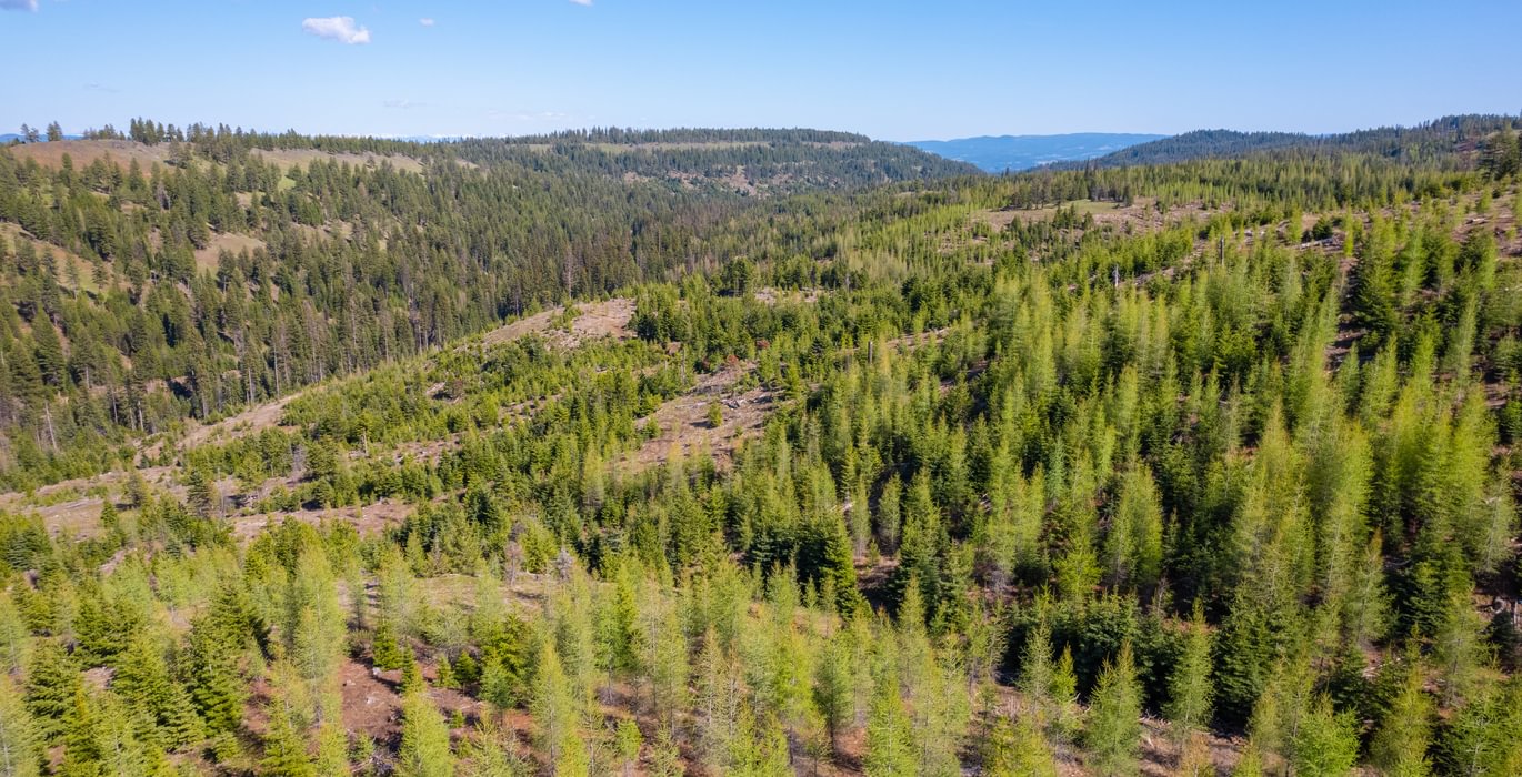 Wallowa West 33