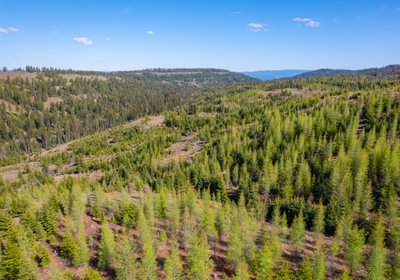 Wallowa West 33