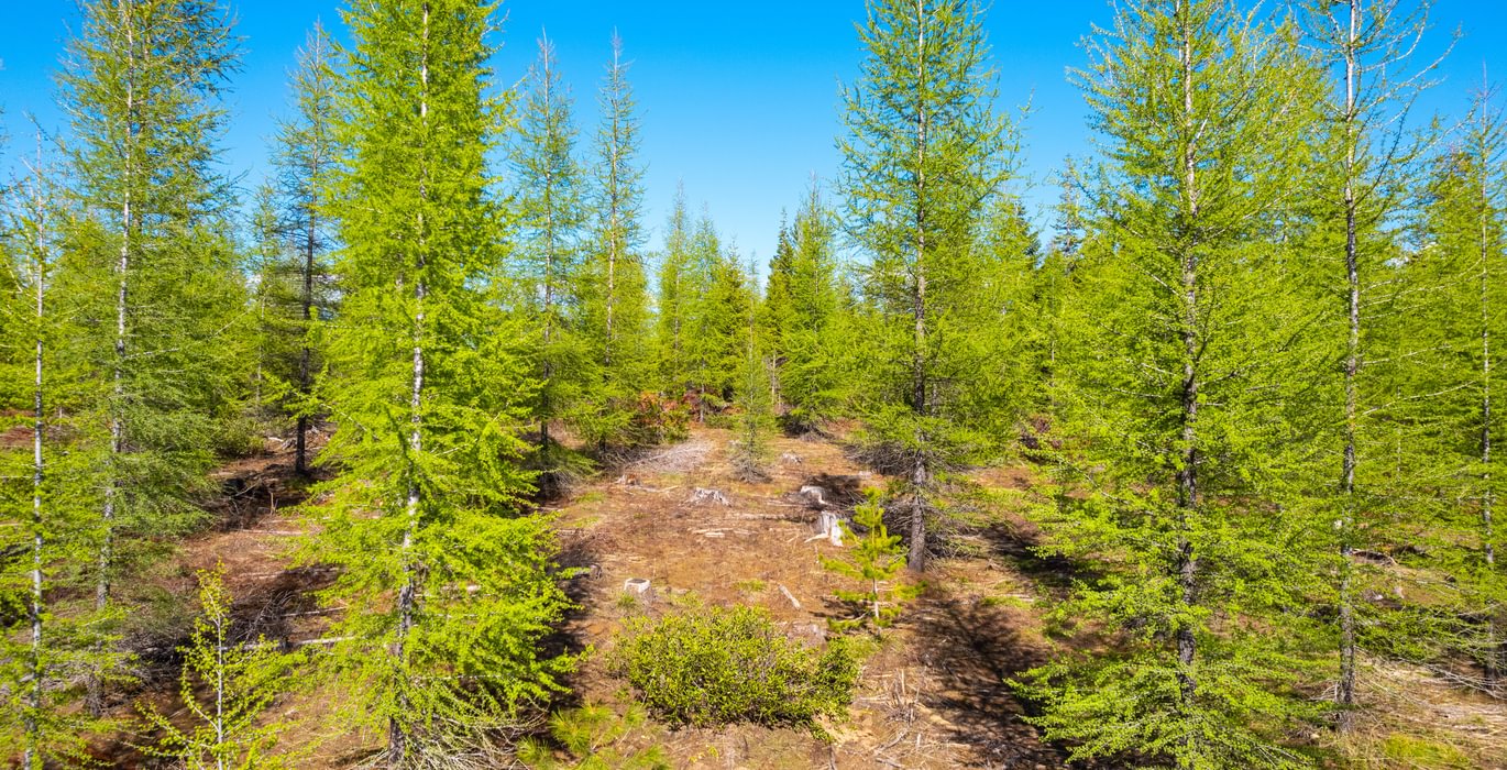 Wallowa West 41