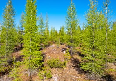 Wallowa West 41