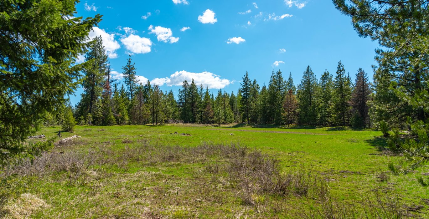 Wallowa West 54