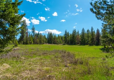 Wallowa West 54
