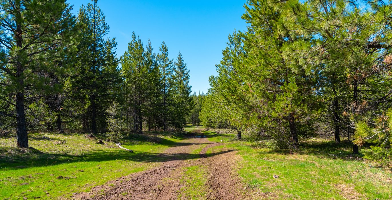 Wallowa West 56