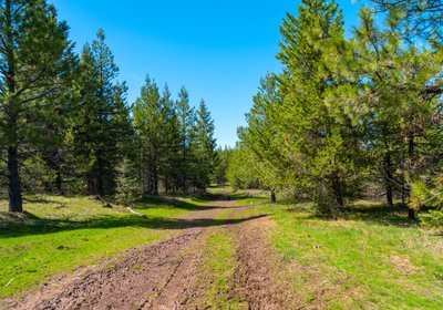 Wallowa West 56