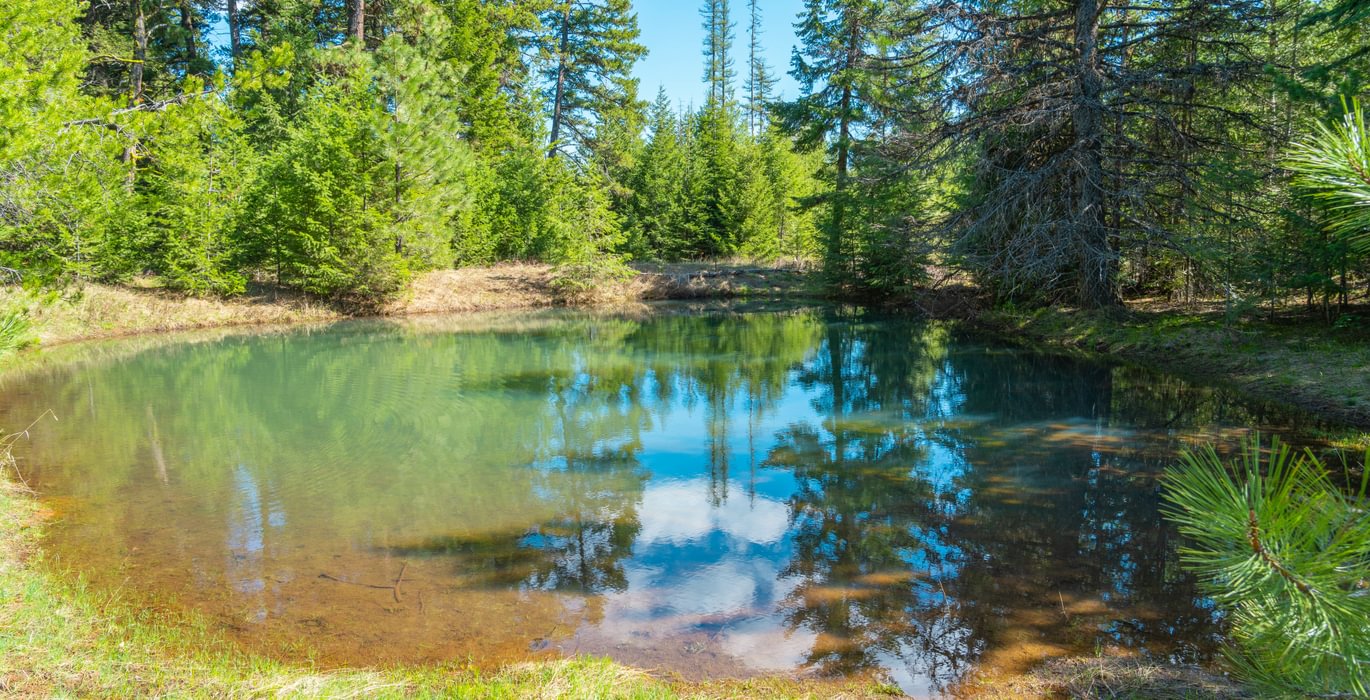 Wallowa West 59
