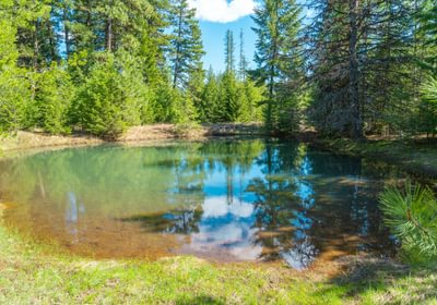 Wallowa West 59
