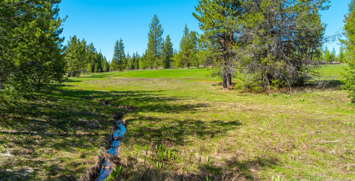 Wallowa West 61