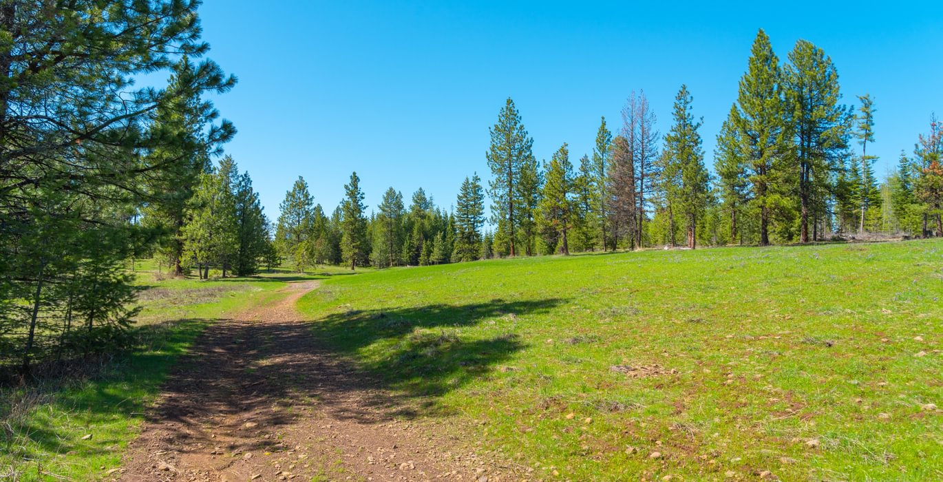 Wallowa West 63