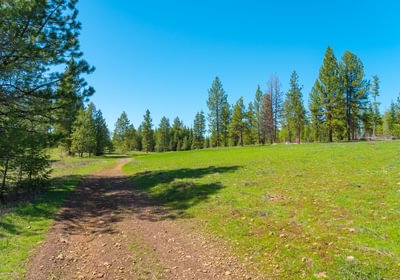 Wallowa West 63