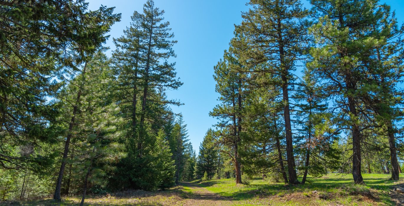 Wallowa West 71