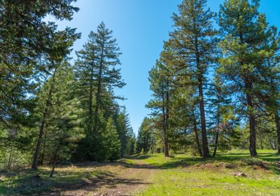 Wallowa West 71