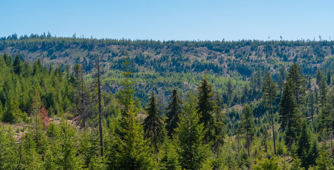 Wallowa West 82