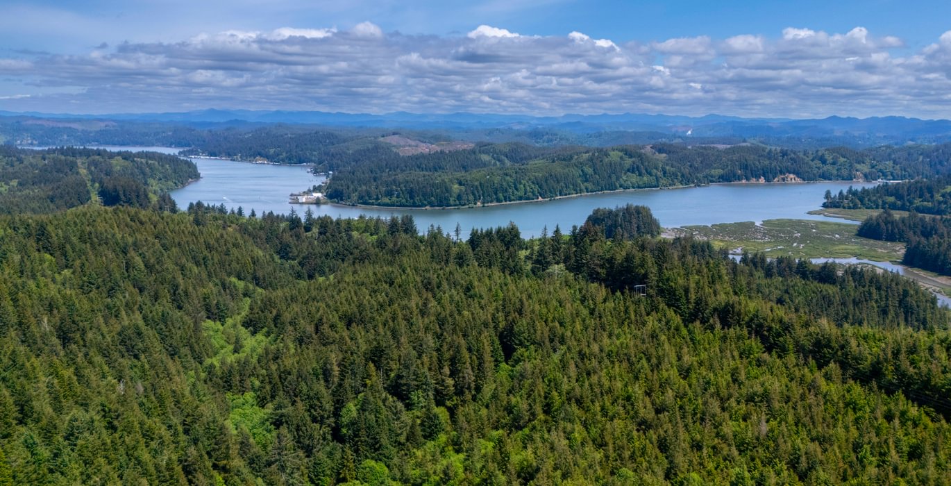 Yaquina 5