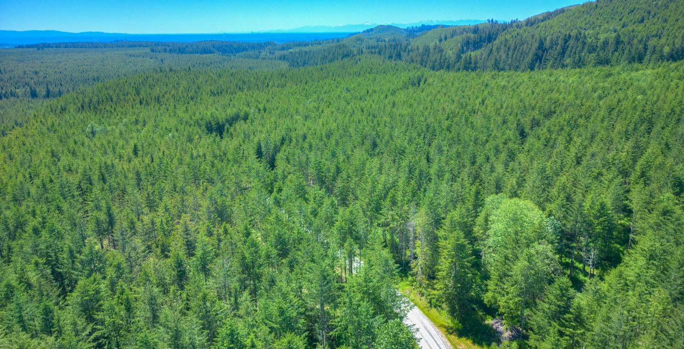 Drone 49 June 07 2024 DJI 0535 6 7 8 9hdr Beau Chevassus