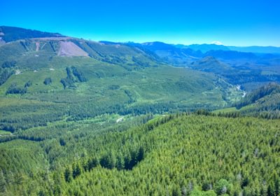 Drone 43 June 07 2024 DJI 0501 2 3 4 5hdr Beau Chevassus
