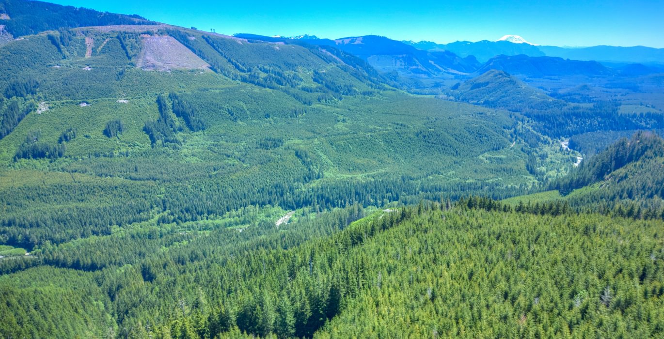Drone 43 June 07 2024 DJI 0501 2 3 4 5hdr Beau Chevassus