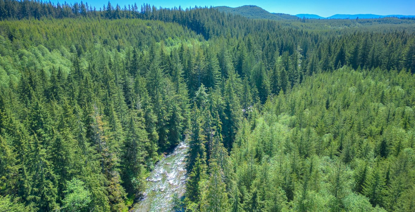 Drone 52 June 07 2024 DJI 0552 3 4 5 6hdr Beau Chevassus