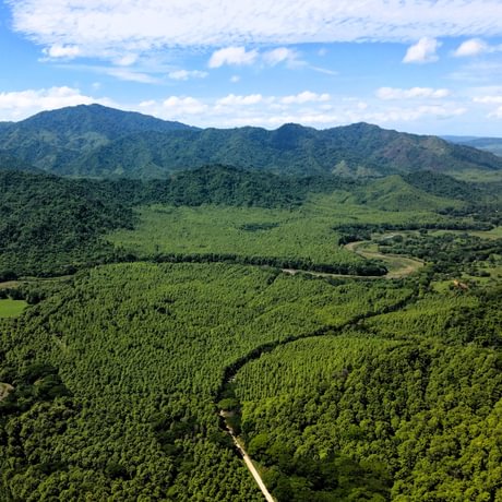 Nicoya Legacy Forest