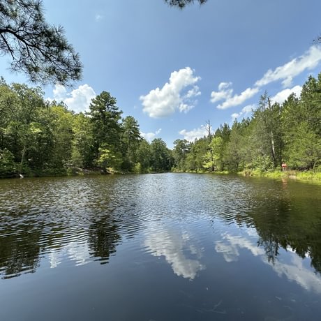 SOLD-Upstate Timberlands