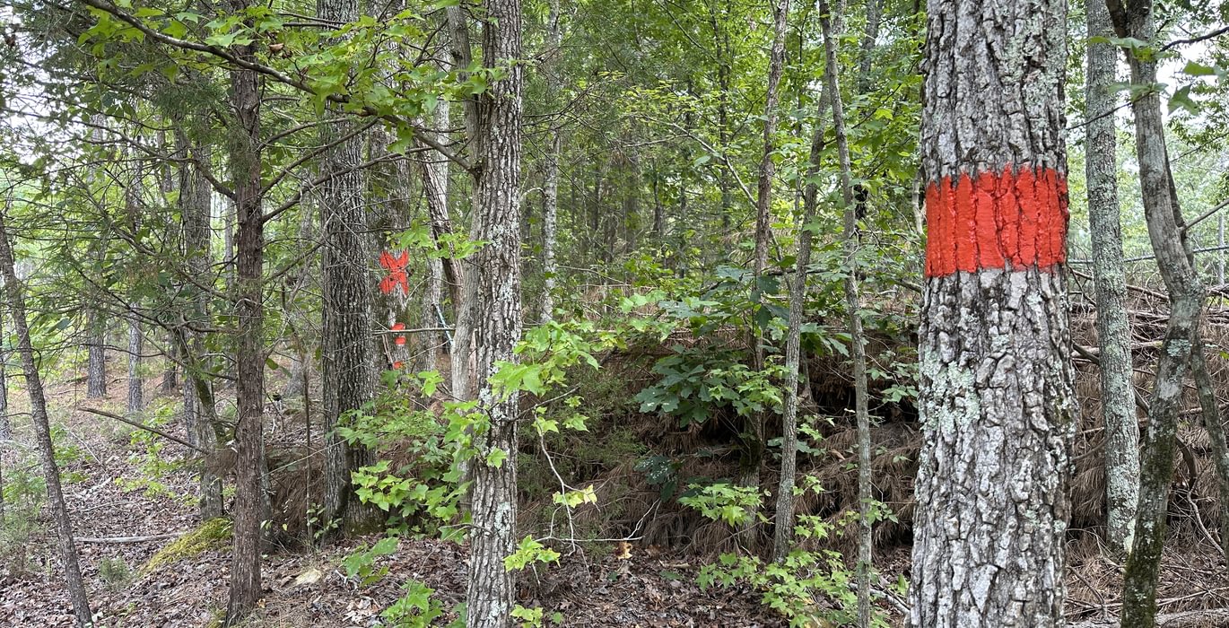 Upstate8