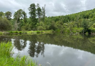 43 IMG 0924