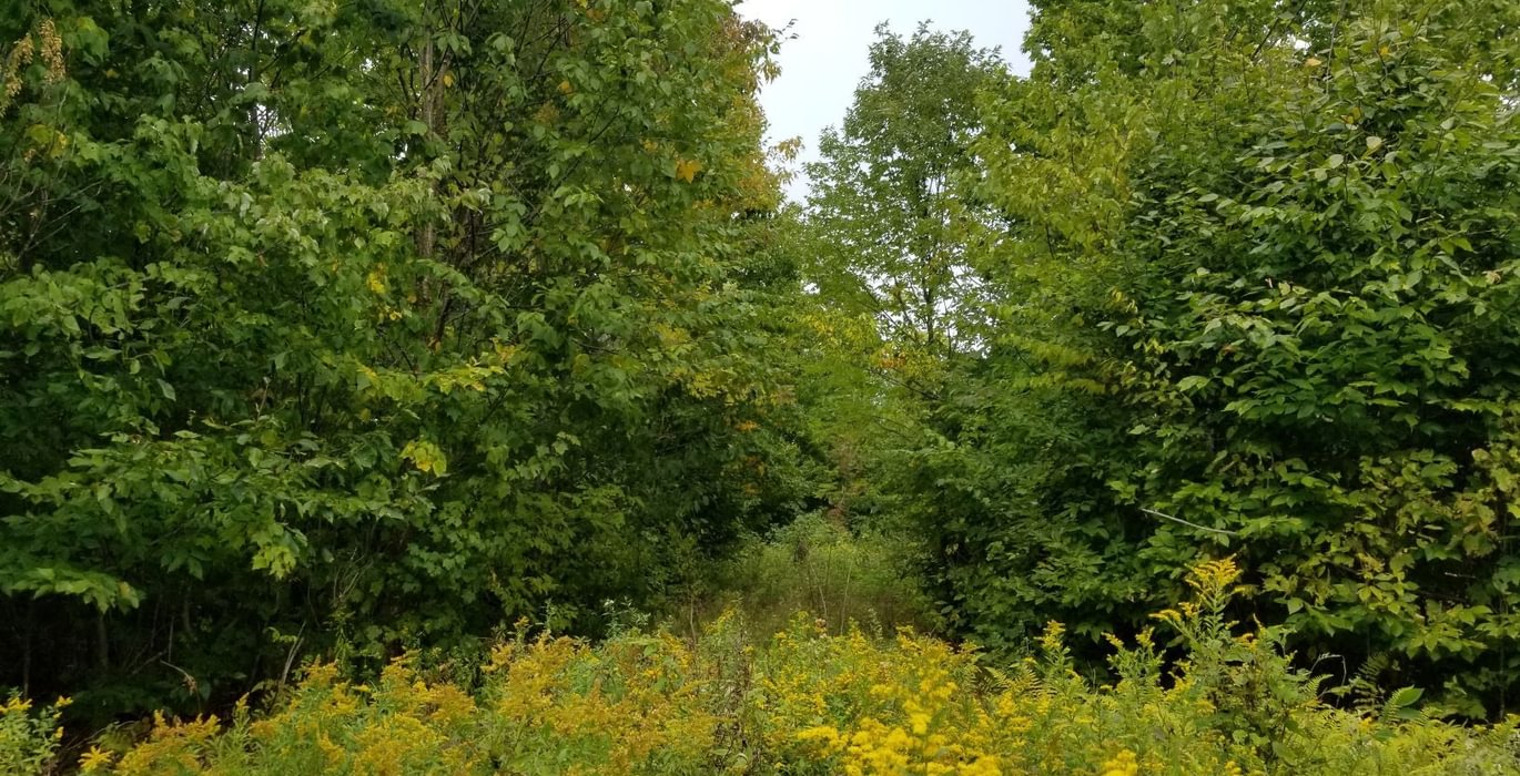 43 Land view 3