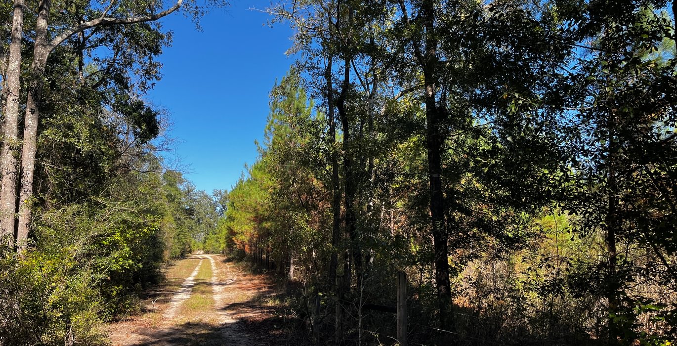 400 Camp Road