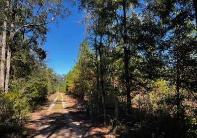 400 Camp Road