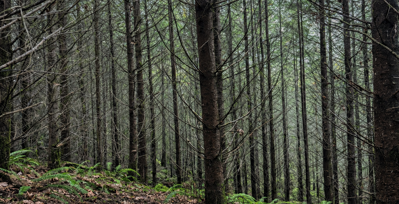 401 Chat GPT Image Jan 13 2026 at 04 47 14 PM