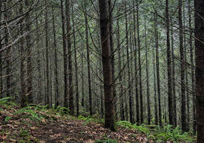 401 Chat GPT Image Jan 13 2026 at 04 47 14 PM