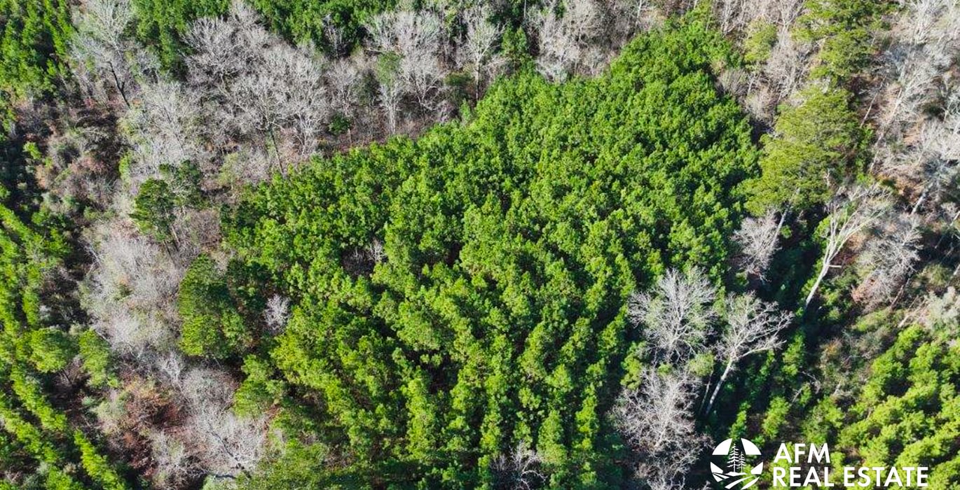 402 DJI 20250201095715 0013 V