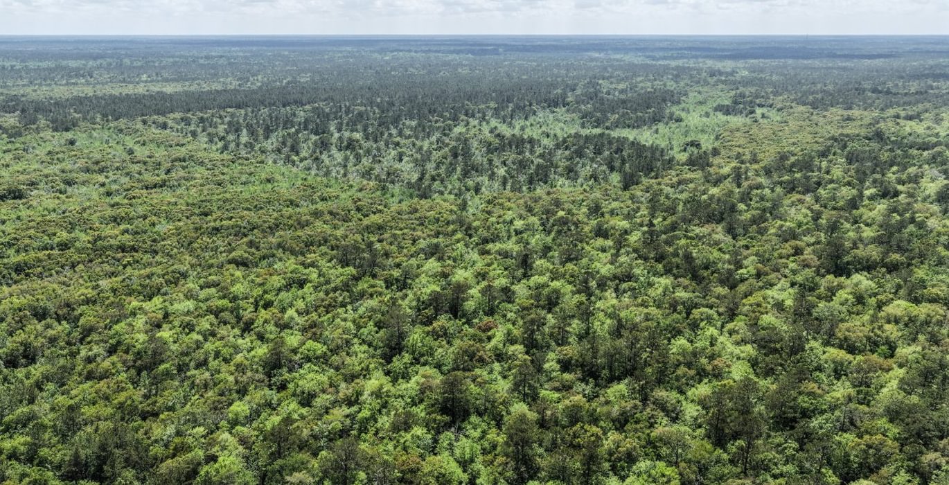 402 DJI 20260415144044 0146 D