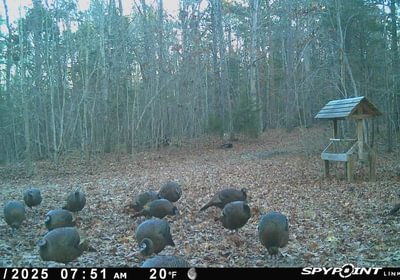402 Image 111