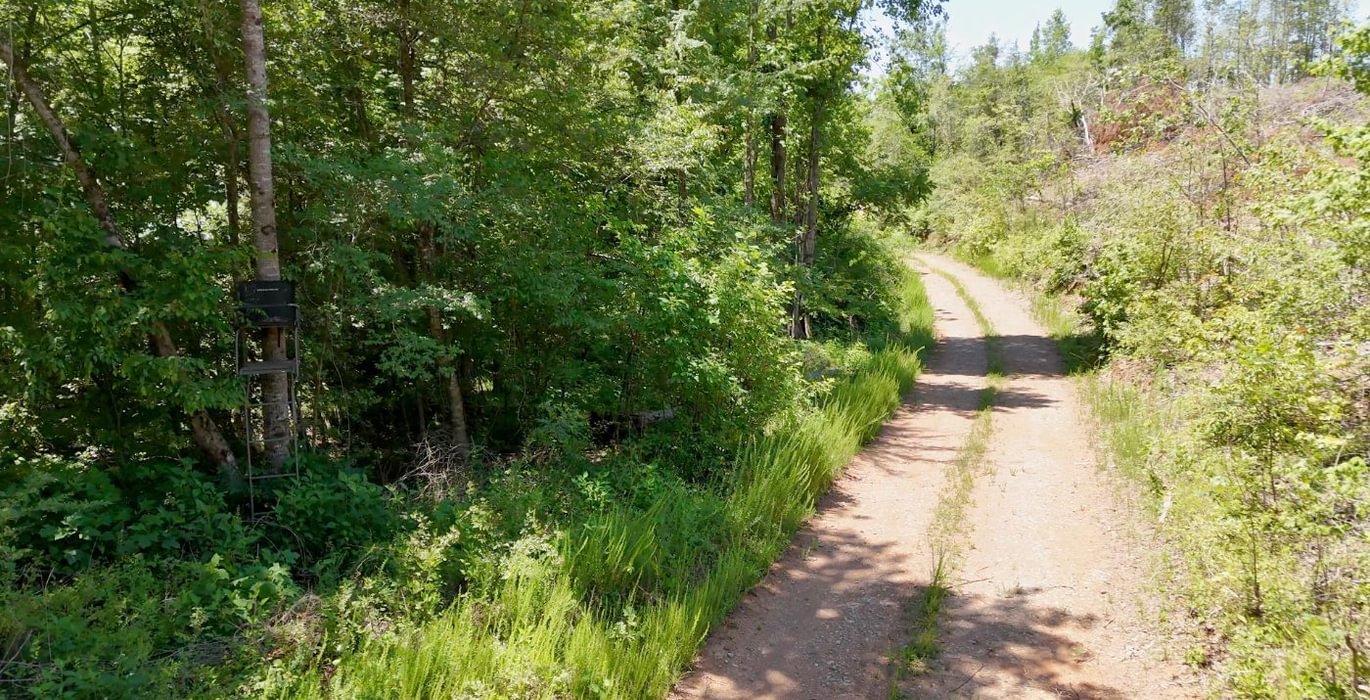 403 AFM Big Mountain Creek Photo 31