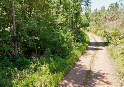 403 AFM Big Mountain Creek Photo 31