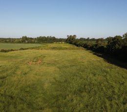 403 DJI 0172