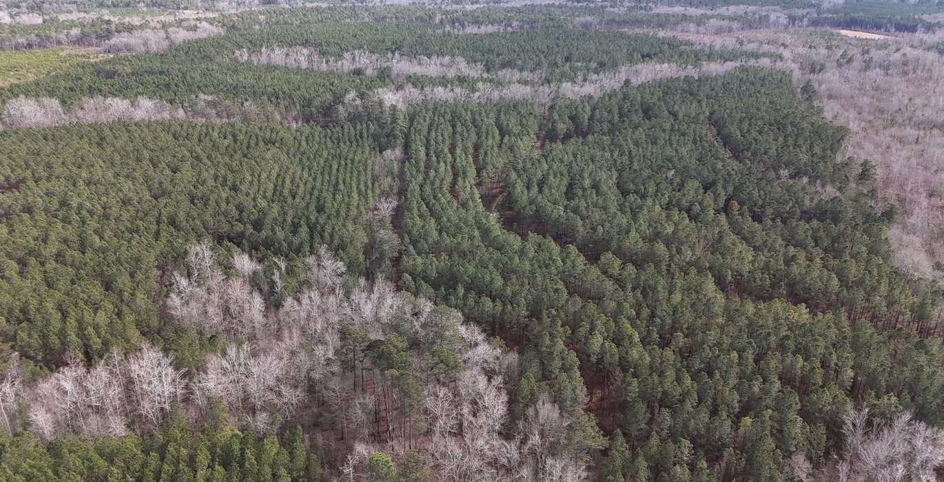 406 DJI 20260129140343 0147 D