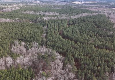 406 DJI 20260129140343 0147 D