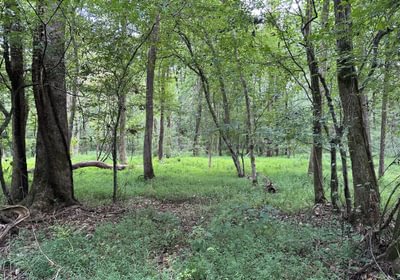 407 IMG 3285