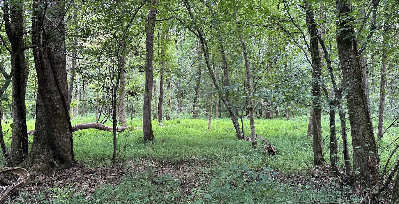 407 IMG 3285