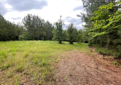 407 plot