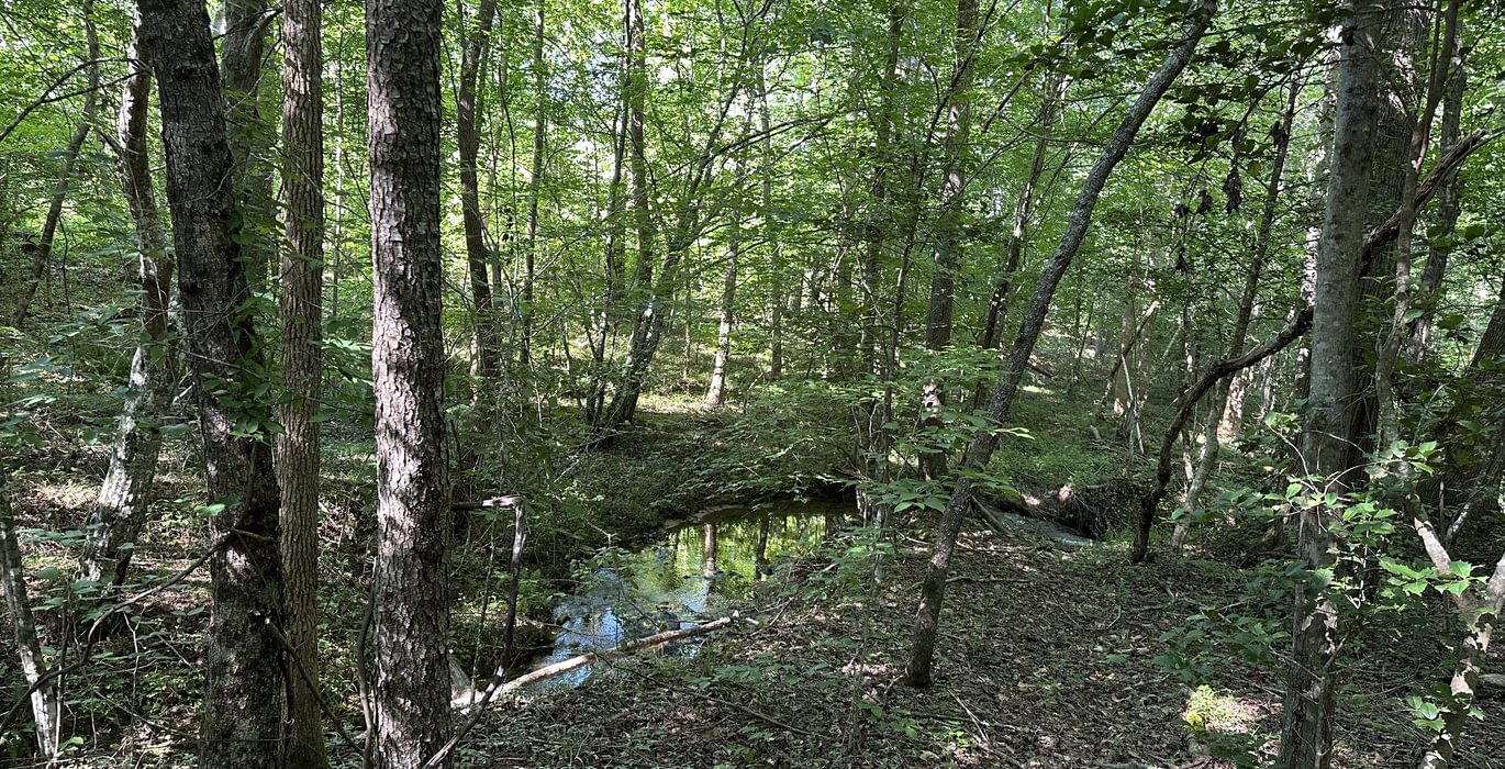 40 IMG 5974