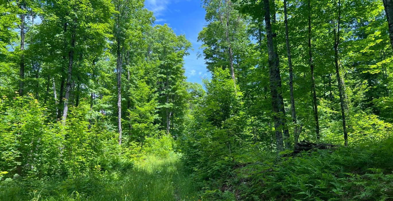 410 perchlake 25
