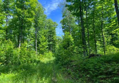 410 perchlake 25