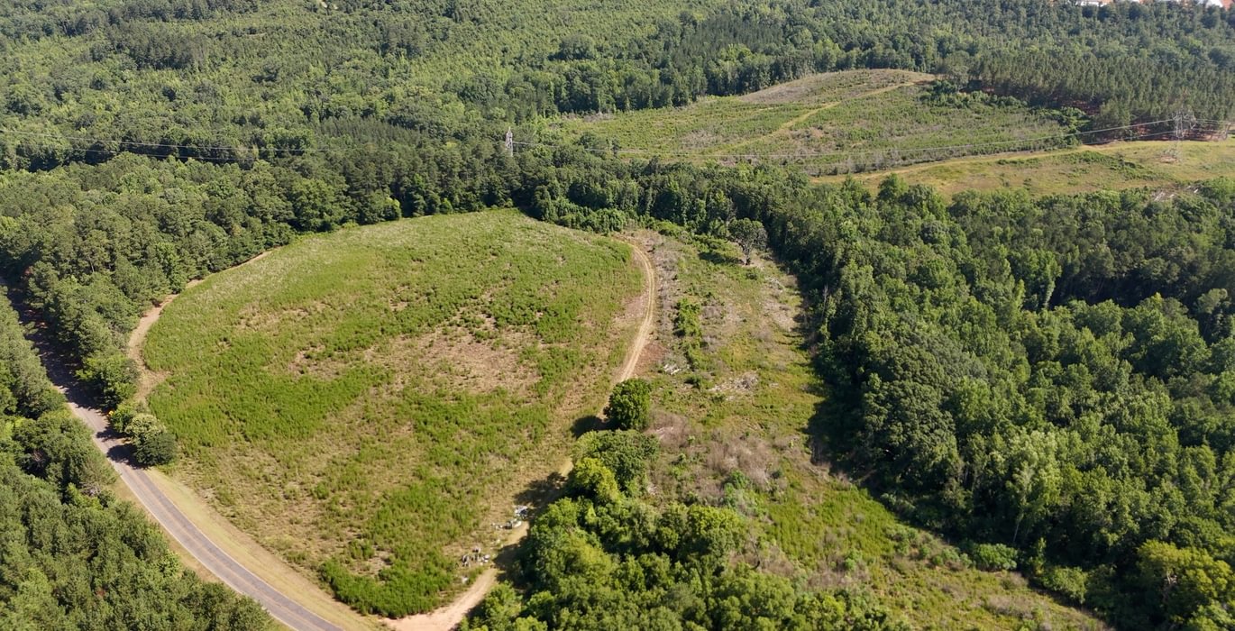 411 Horseshoe Road Photo 3